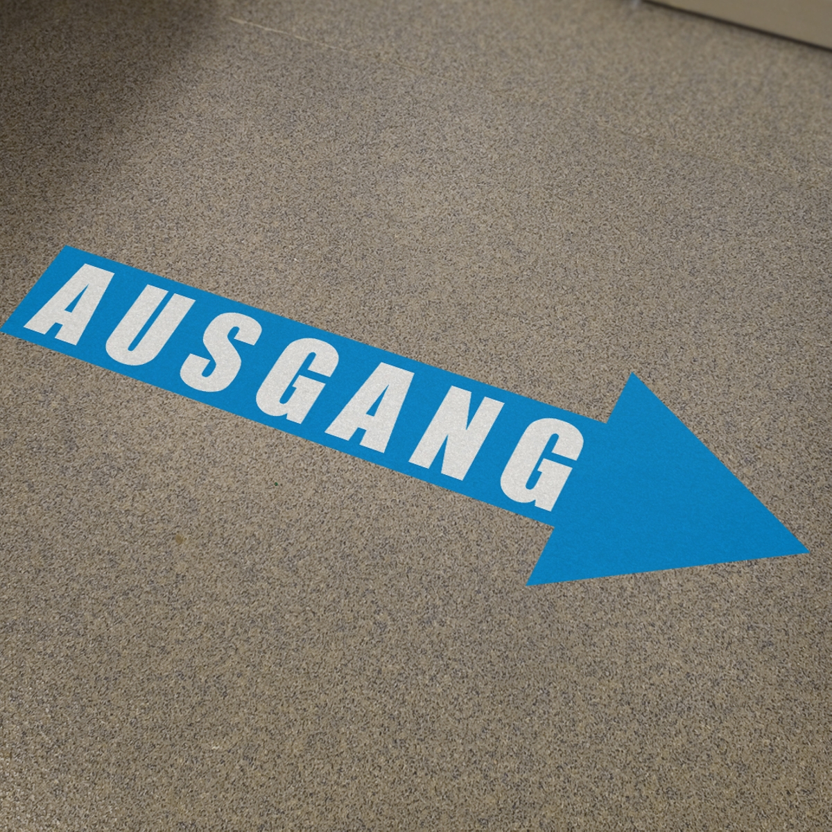 60 x 20 cm | Ausgang