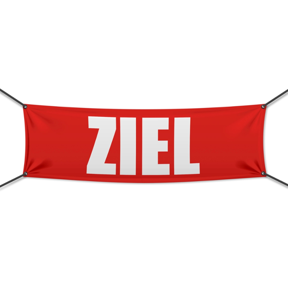 300 x 100 cm | Ziel Werbebanner, M1 