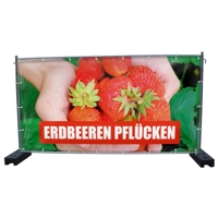 340 x 173 cm | Erdbeeren Bauzaunbanner (1931)