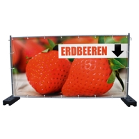 340 x 173 cm | Erdbeeren Bauzaunbanner (1933)