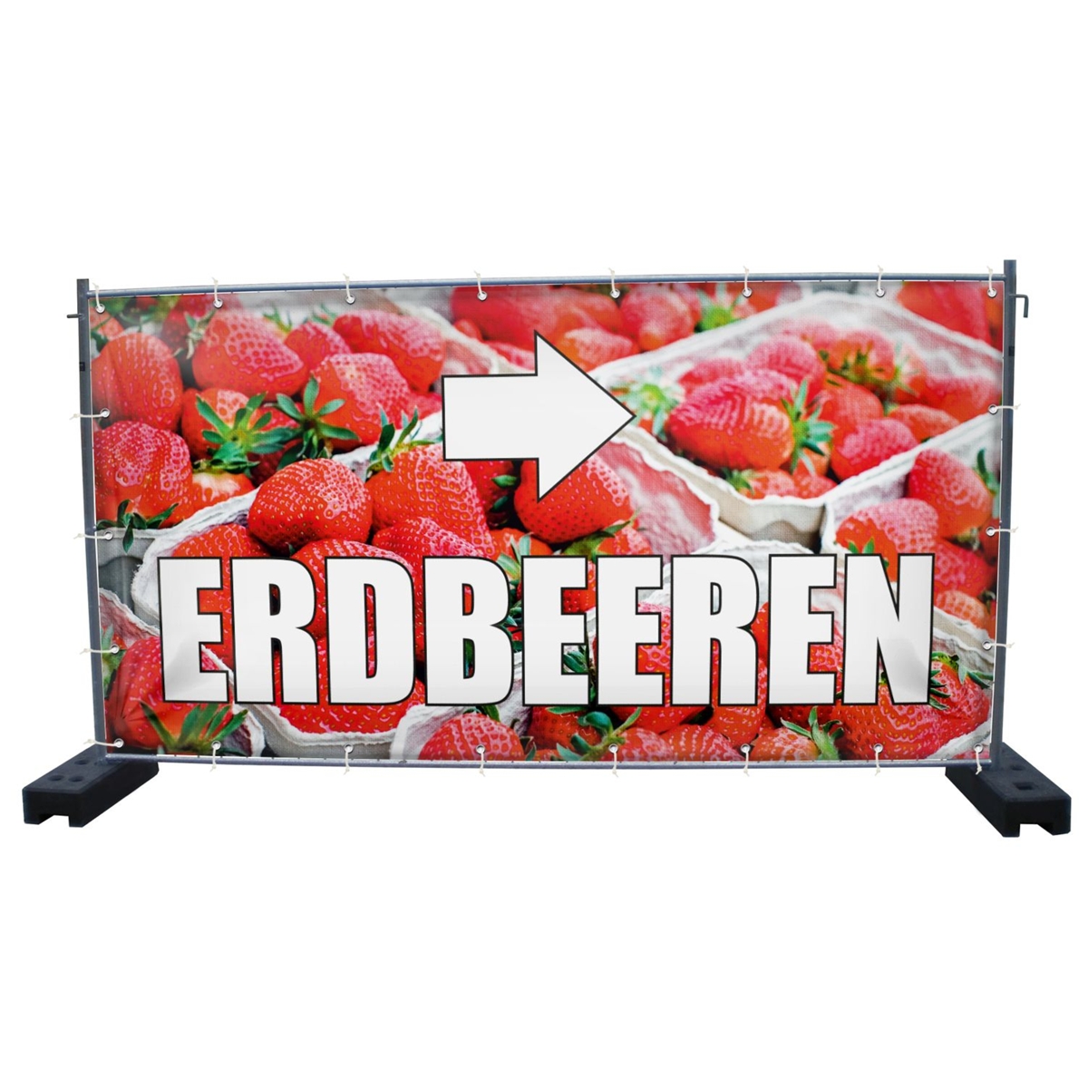 340 x 173 cm | Erdbeeren Bauzaunbanner (1932)