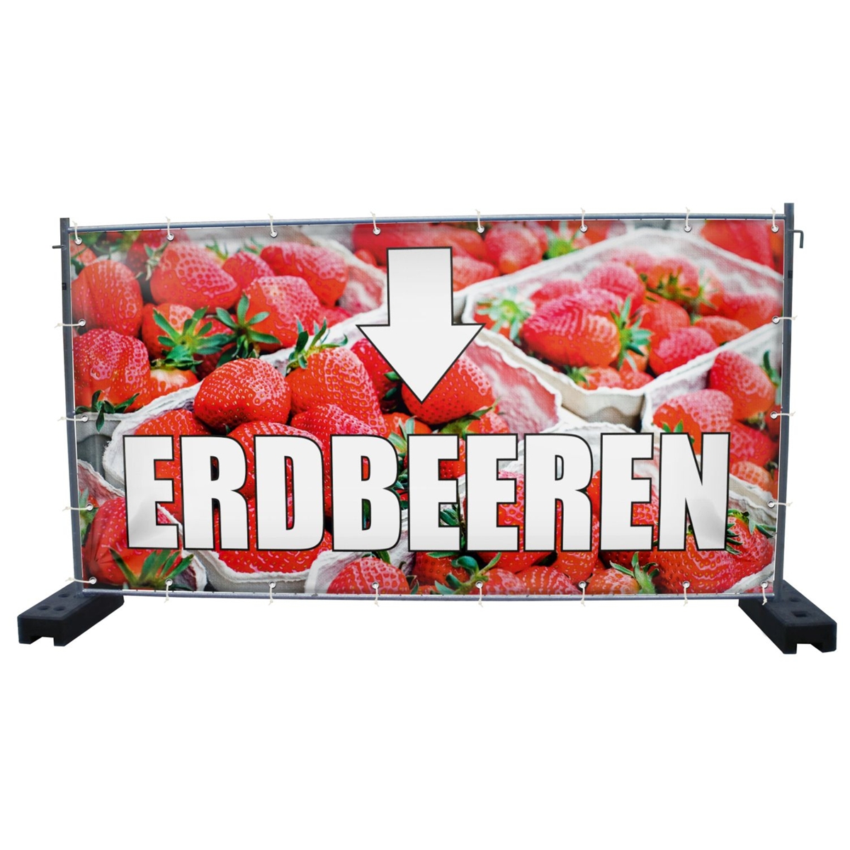 340 x 173 cm | Erdbeeren Bauzaunbanner (1932)